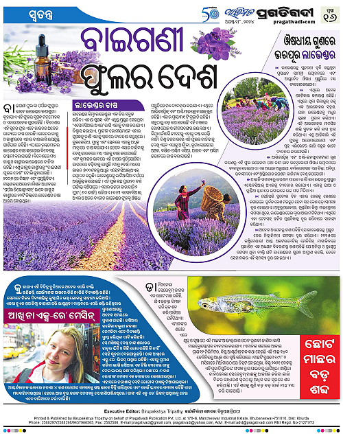 Avimat-18-08-2024-16