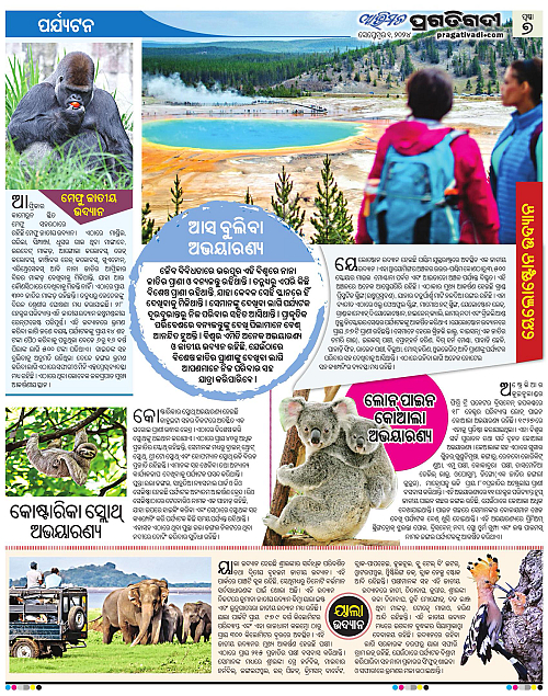 Avimat-01-09-2024-07