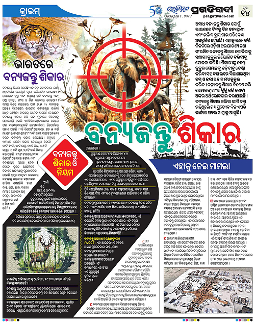 Avimat-08-09-2024-14