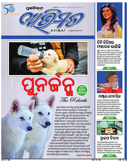 Avimat-13-04-2025-01