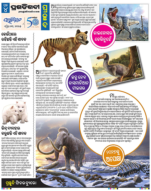 Avimat-13-04-2025-04