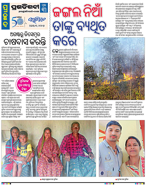 Avimat-03-08-2025-03