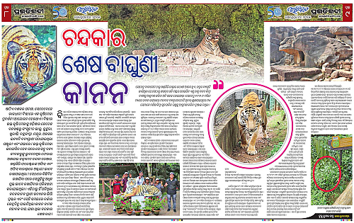 Avimat-14-09-2025-08