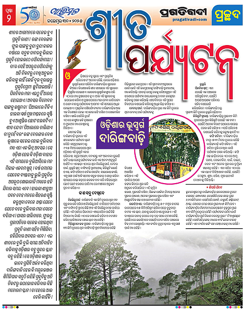 Avimat-30-11-2025-02