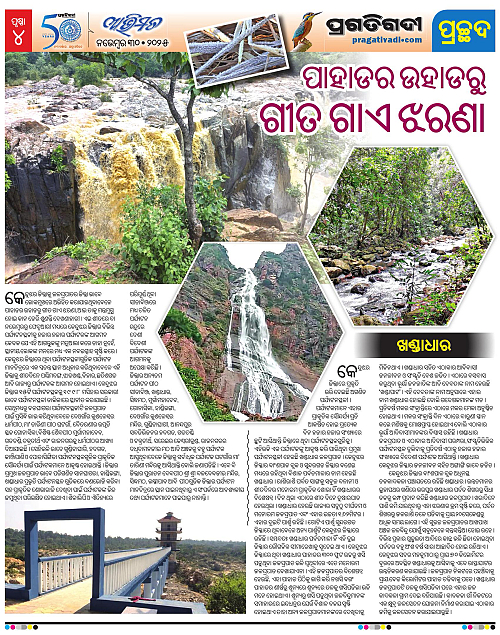 Avimat-30-11-2025-04