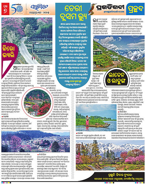 Avimat-30-11-2025-07