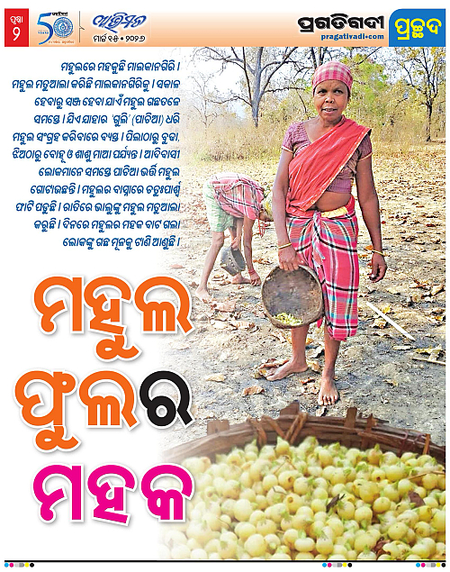 Avimat-15-03-2026-02