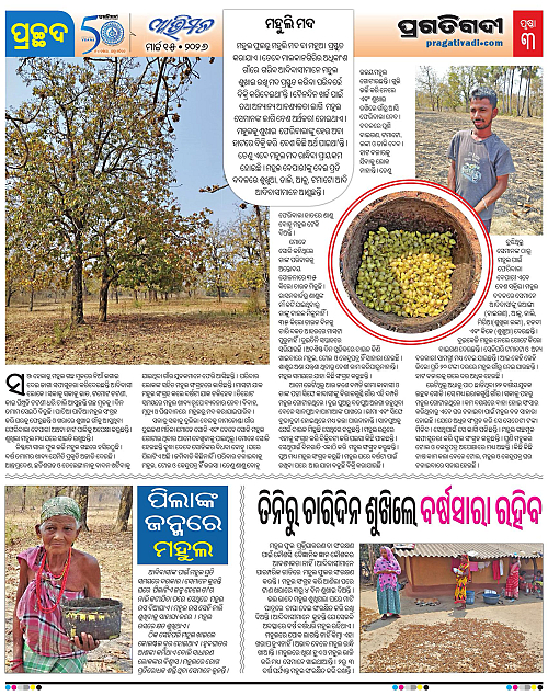 Avimat-15-03-2026-03