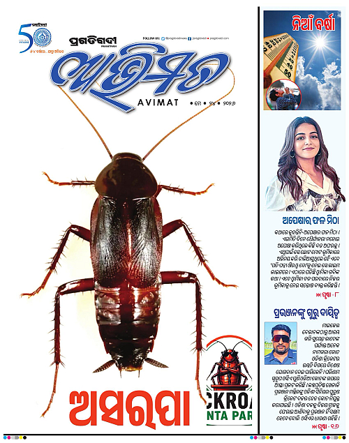 Avimat-24-05-2026-01