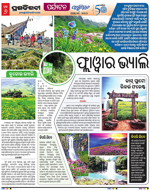 Avimat-23-08-2026-06