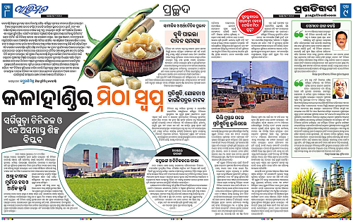 Avimat-30-08-2026-08