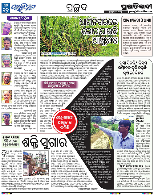 Avimat-30-08-2026-12