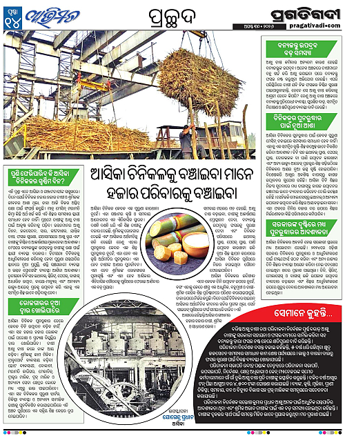 Avimat-30-08-2026-14